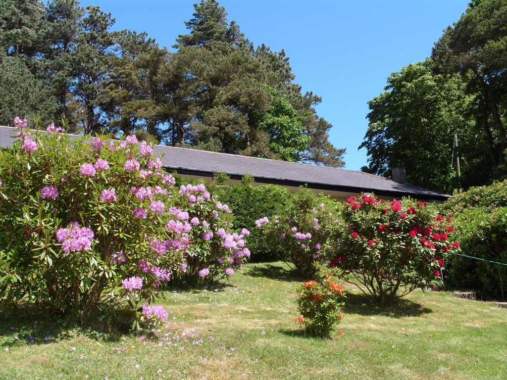 Plas Heulog Holiday Accommodation Llanfairfechan Ngoại thất bức ảnh